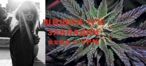шишки Балахна