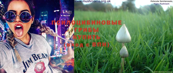 винт Баксан