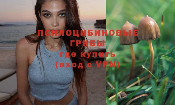 гашик Арсеньев